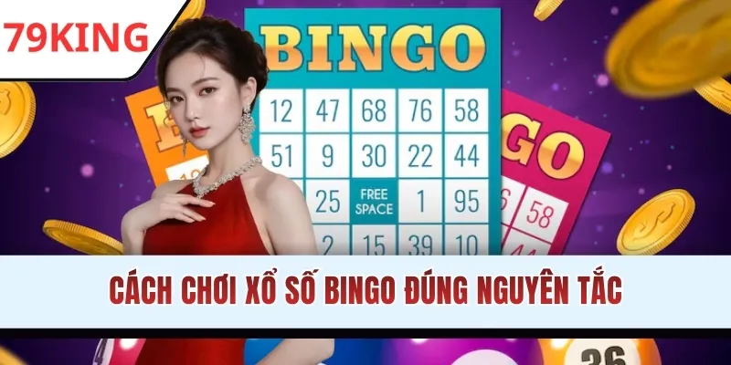 Cách chơi xổ số Bingo đúng nguyên tắc